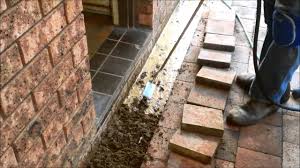 5 Easy Facts About Global Termite & Pest Control Adelaide Described