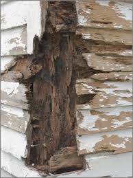 Some Known Questions About Termite Control New Construction.