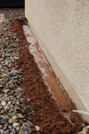 Some Known Factual Statements About Detail Termite & Pest Control Adelaide 